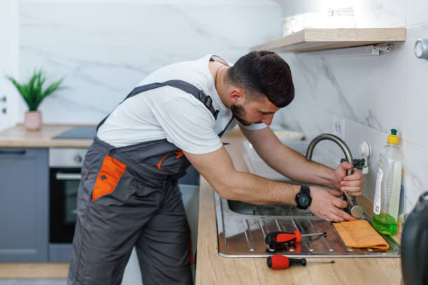 Best Local Plumber Services  in Rio Rico, AZ