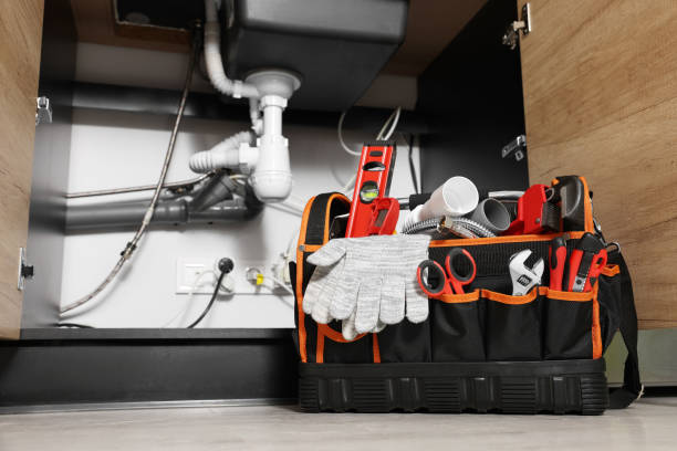 Best Emergency Plumbing Repair  in Rio Rico, AZ