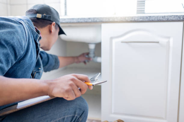 Best Local Plumber Services  in Rio Rico, AZ