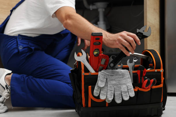 Best Affordable Plumbing Services  in Rio Rico, AZ