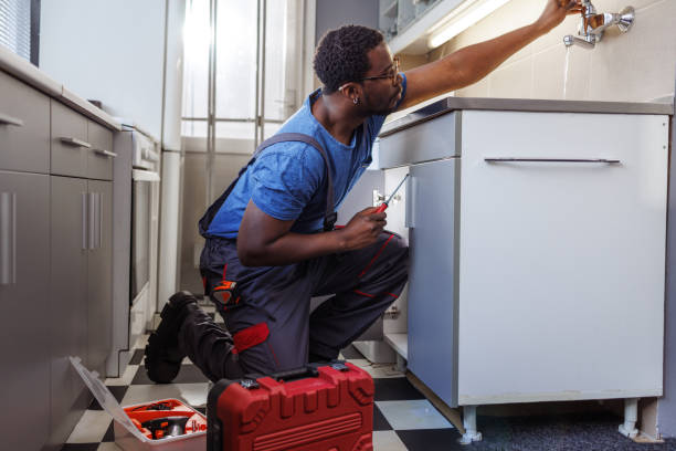 Best Toilet Repair Services  in Rio Rico, AZ